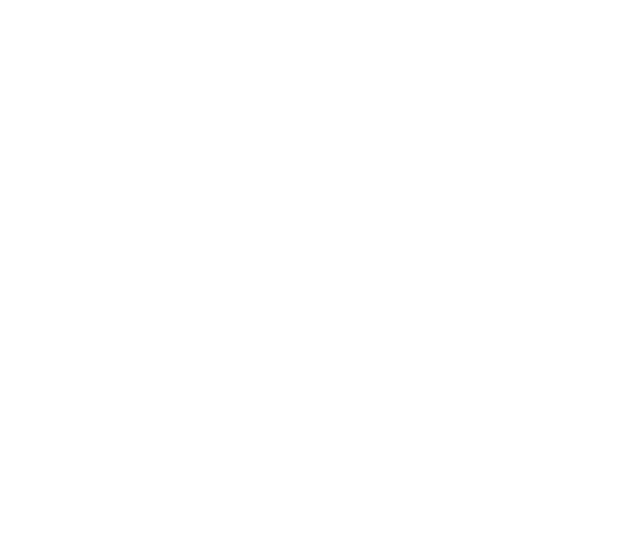 TW GRILL